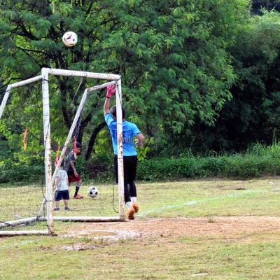 Bola7s 23 046