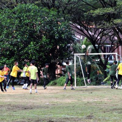 Bola7s 23 048