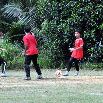 Bola7s 23 105