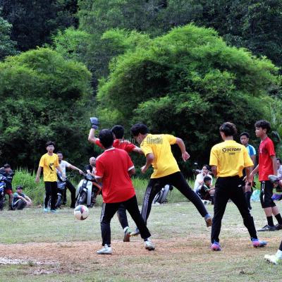 Bola7s 23 115