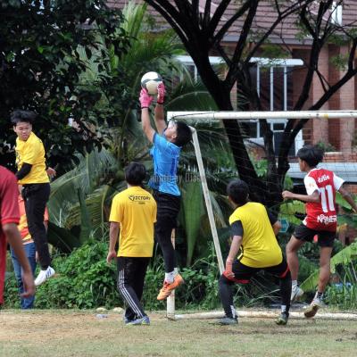 Bola7s 23 116