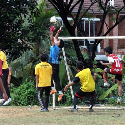 Bola7s 23 117