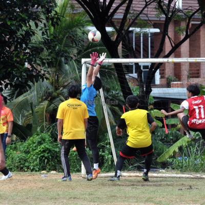 Bola7s 23 118