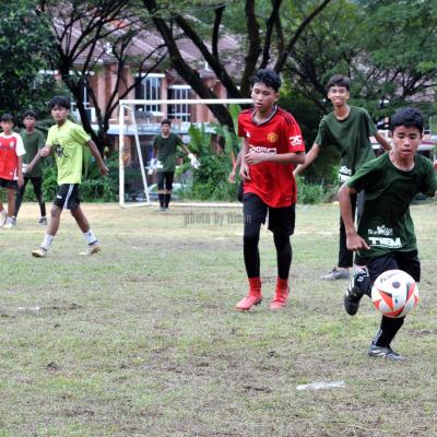 Bola7s 23 146